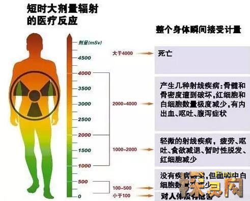 福岛50死士