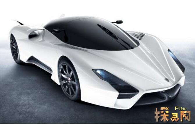 SSC  Tuatara