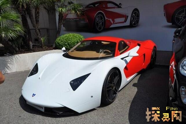 SSC  Tuatara